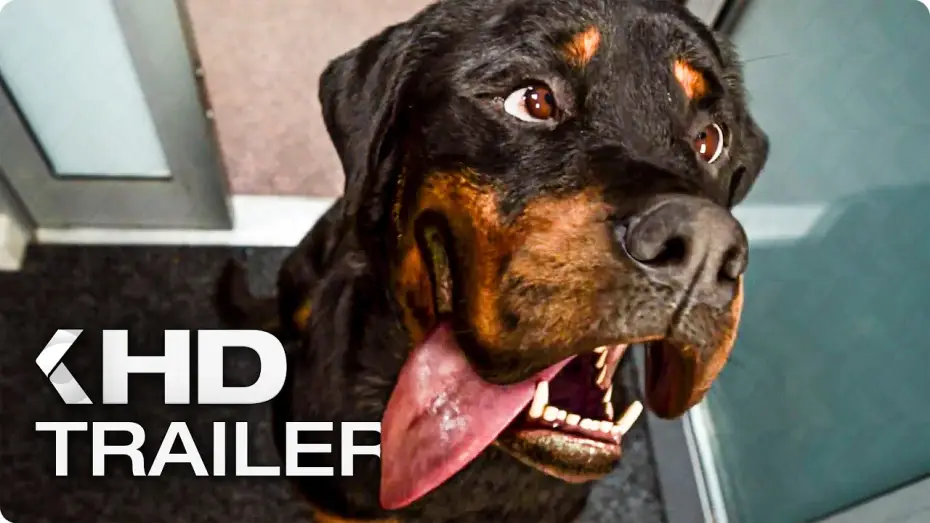 Watch film Show Dogs — SHOW DOGS Trailer German Deutsch (2018)