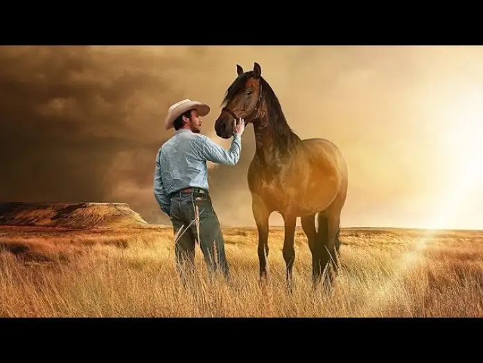 Watch film The Rider — The Rider | Offizieller Trailer Deutsch German HD