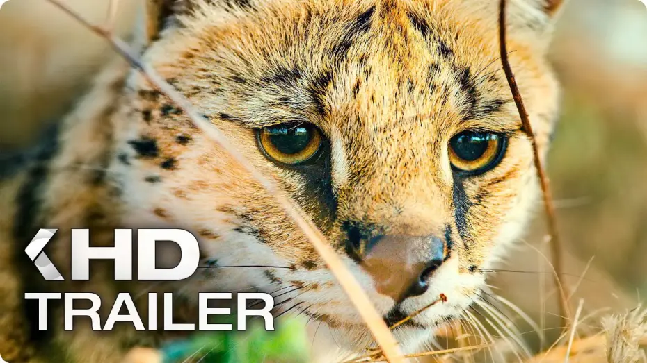 Watch film Earth: One Amazing Day — UNSERE ERDE 2 Trailer German Deutsch (2018)