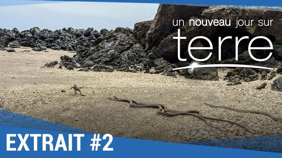 Watch film Earth: One Amazing Day — UN NOUVEAU JOUR SUR TERRE - Extrait "Iguanes" VF