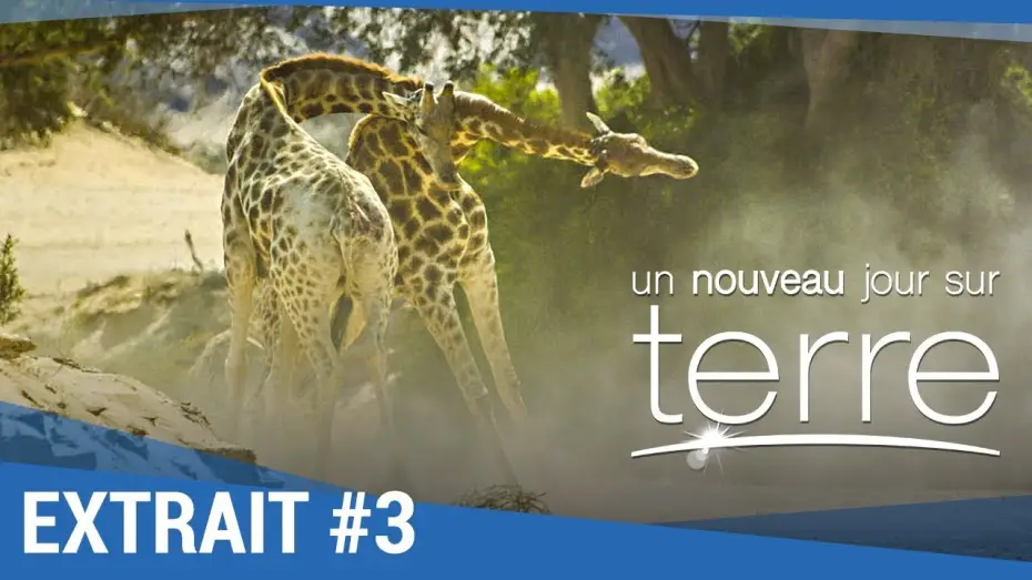 Watch film Earth: One Amazing Day — UN NOUVEAU JOUR SUR TERRE - Extrait "Girafes" VF