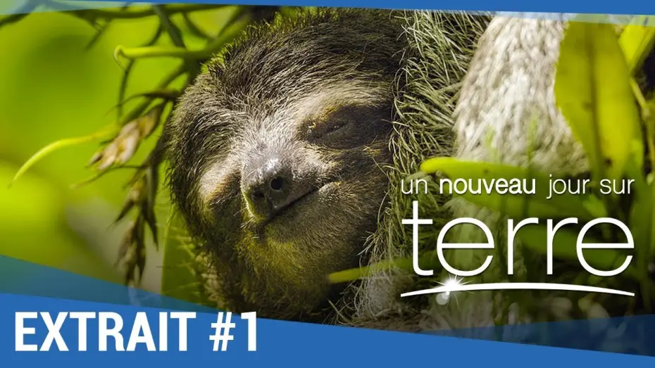 Watch film Earth: One Amazing Day — UN NOUVEAU JOUR SUR TERRE - Extrait "Paresseux" VF