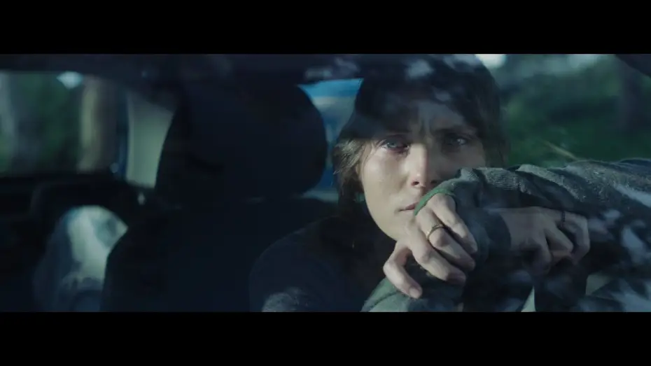 Watch film We Had a Forest — We Had a Forest - TRAILER    היער שהיה - טריילר