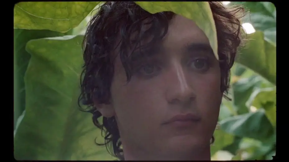 Watch film Happy as Lazzaro — HEUREUX COMME LAZZARO - Bande Annonce VOST