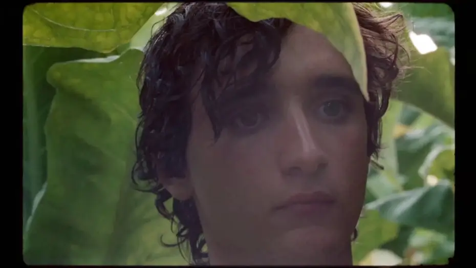 Watch film Happy as Lazzaro — Excerpt 2