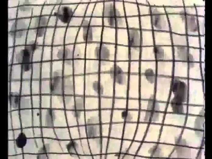 Watch film Nightclub — Night Club (1983) - Jonathan Hodgson