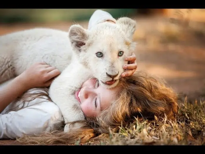 Watch film Mia and the White Lion — Mia y el león blanco - Trailer español (HD)