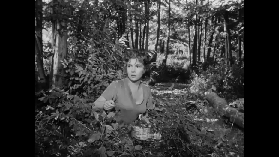 Watch film Bread, Love and Dreams — PANE, AMORE E FANTASIA: dal 18 luglio al 24 luglio al cinema