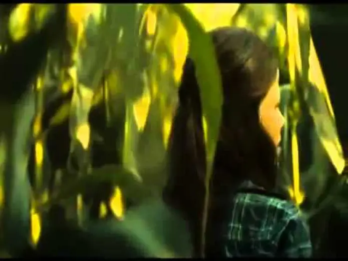 Watch film Husk — Husk (2011)