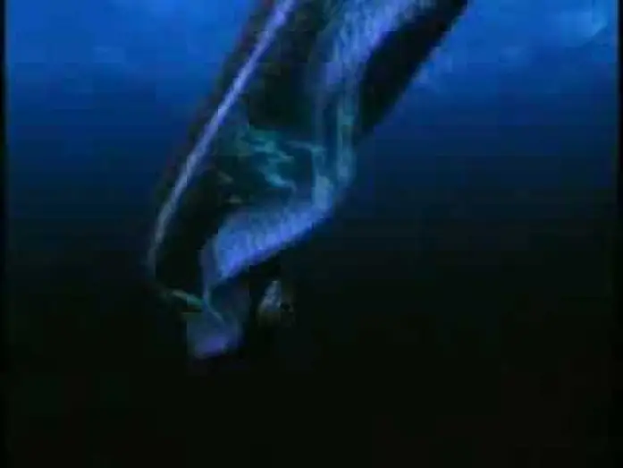 Watch film Deep Shock — Deep Shock Movie Trailer