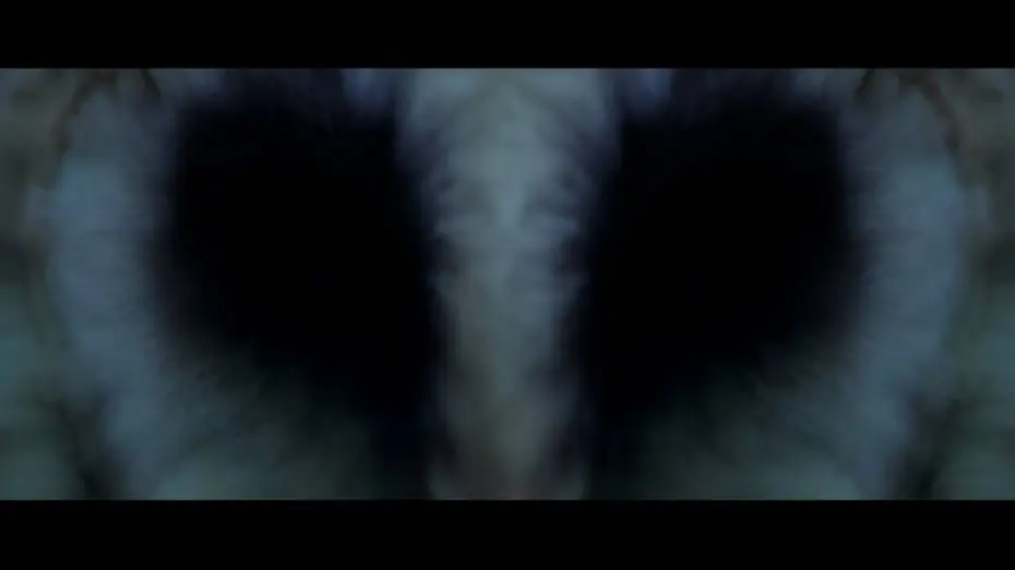 Watch film The Fourth Kind | Ph&eacute;nom&egrave;nes paranormaux - Bande Annonce [VF]