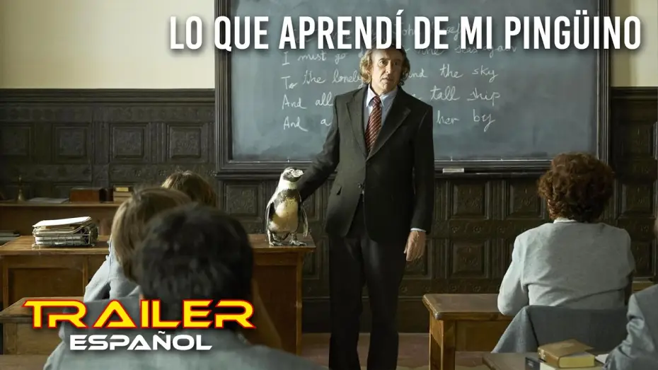 Watch film The Penguin Lessons — Lo que aprendí de mi pingüino - Tráiler español