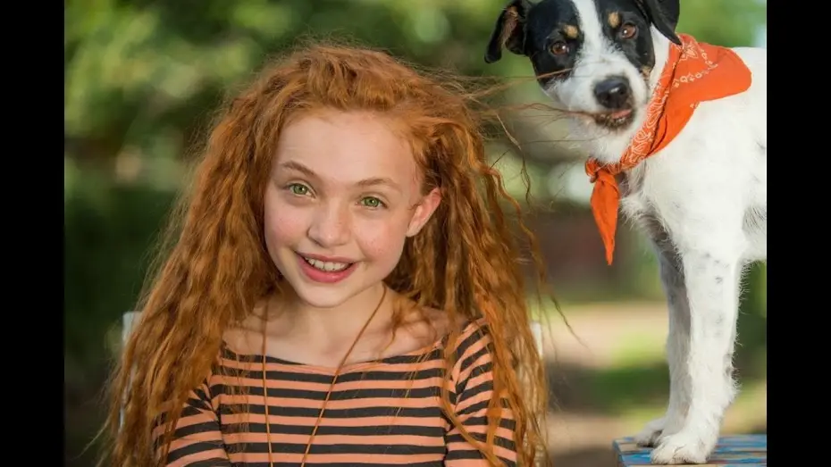 Watch film Little Miss Dolittle — La pequeña traviesa - Trailer español (HD)