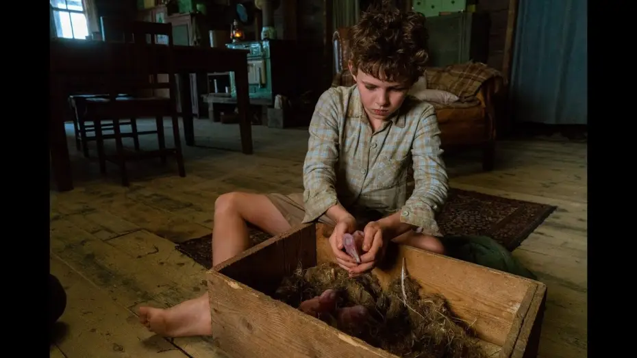 Watch film Storm Boy — STORM BOY - EXTRAIT : "Prendre des forces" VF