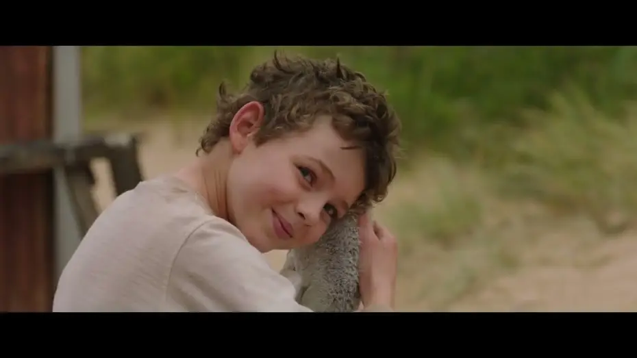 Watch film Storm Boy — AMIGOS PARA SIEMPRE (Storm Boy) | Tráiler español HD