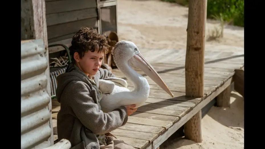 Watch film Storm Boy — STORM BOY - Bande Annonce VF