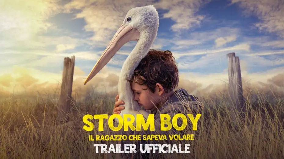 Watch film Storm Boy — Storm Boy - Il ragazzo che sapeva volare | Trailer Ufficiale | Dal 24 giugno al cinema