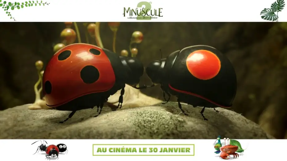 Watch film Minuscule 2: Mandibles from Far Away — MINUSCULE 2 - Teaser VF