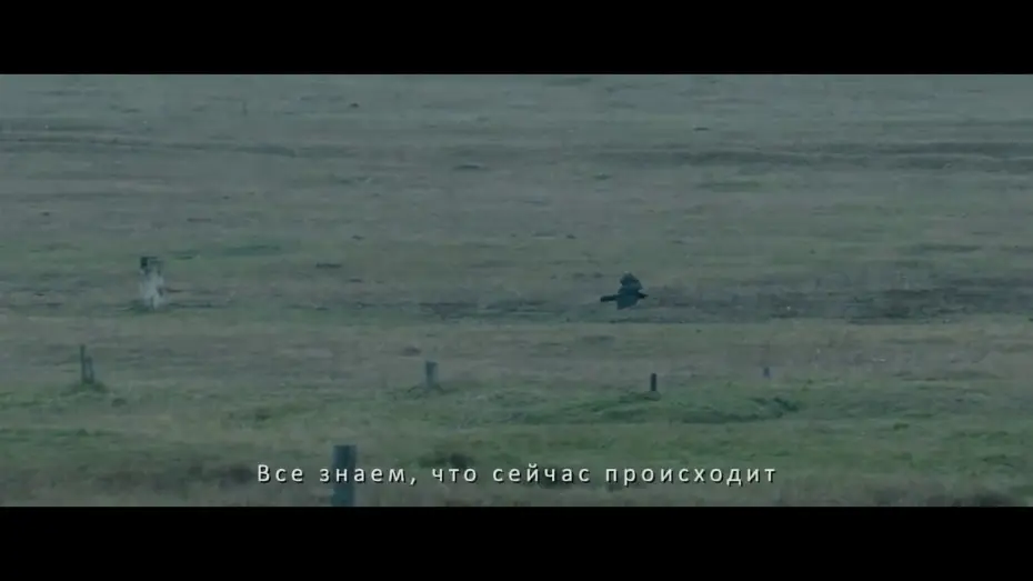 Watch film Republic Z — Официальный тизер "Республика Z”
