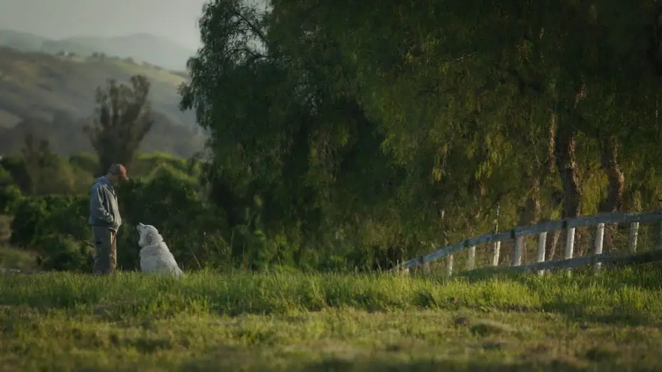 Watch film The Biggest Little Farm | Mi gran pequeña granja - Trailer español (HD)