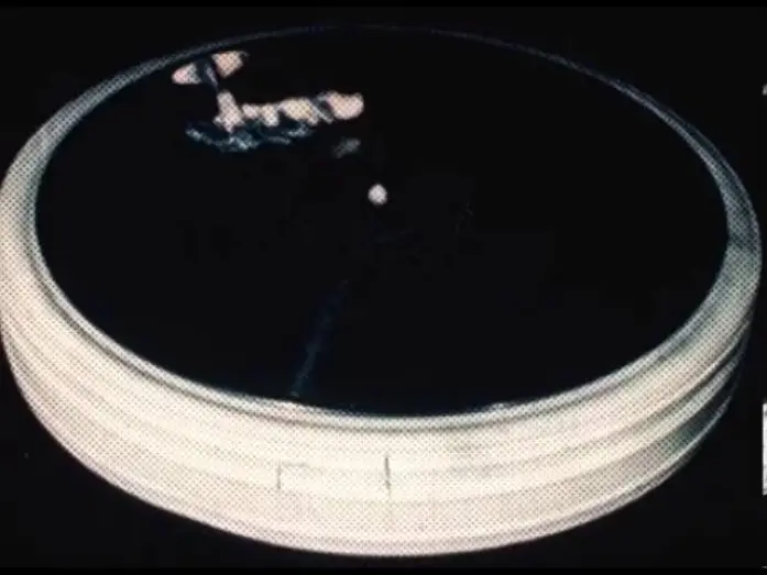 Watch film Bermuda Triangle — KOŁO BERMUDZKIE