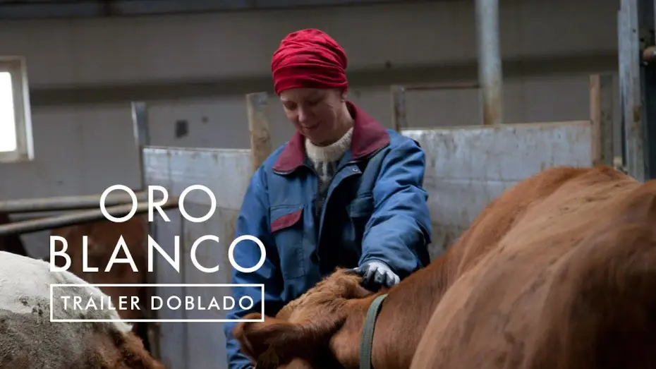 Watch film The County — ORO BLANCO | Tráiler Oficial Español