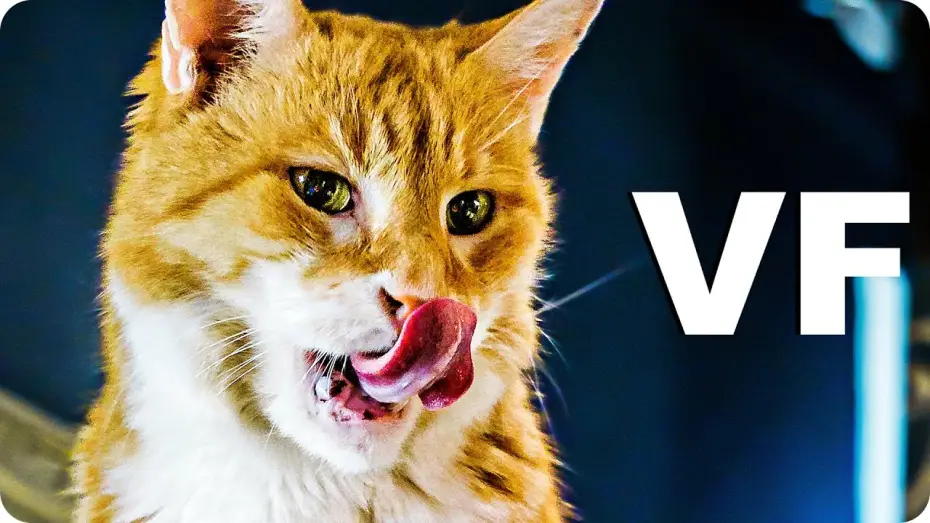 Watch film The House Elf | MON CHAT L'ELFE MALICIEUX ET MOI Bande Annonce VF (2020)