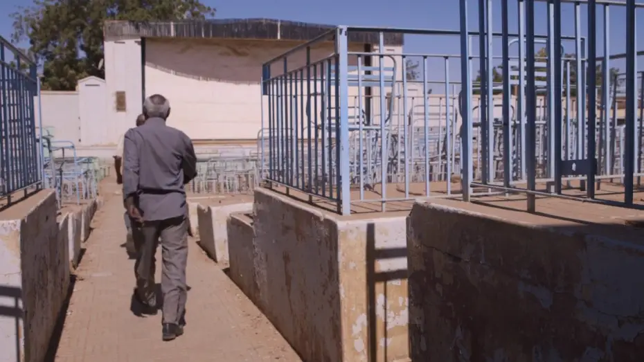 Watch film Talking About Trees — Clip
