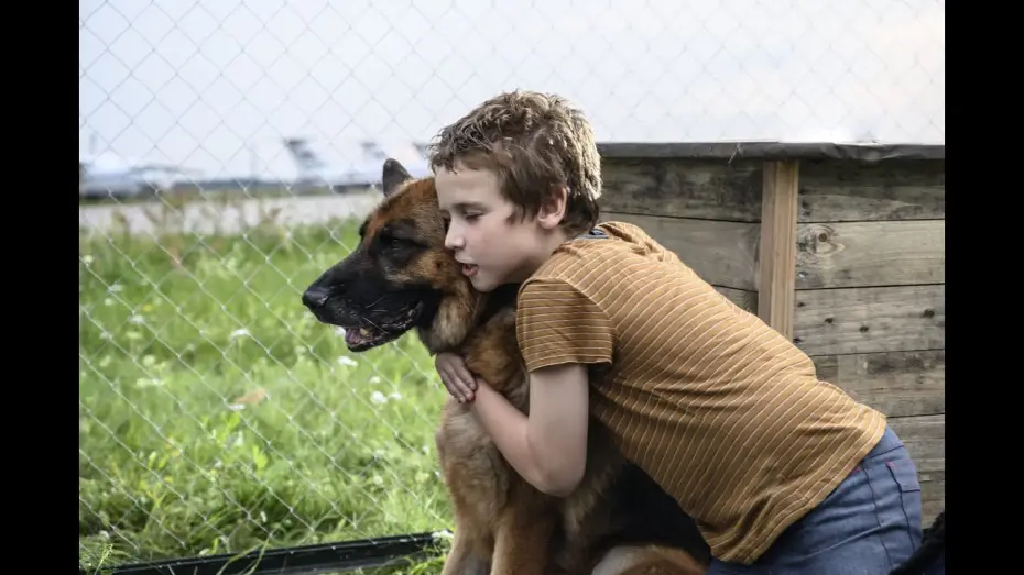 Watch film A Dog Named Palma — Una amistad para siempre - Tráiler