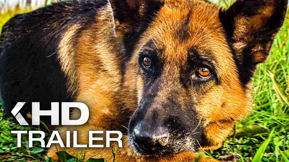 Watch film A Dog Named Palma — EIN HUND NAMENS PALMA Trailer German Deutsch (2021) Exklusiv