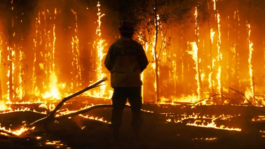 Watch film Fire — Трейлер №1