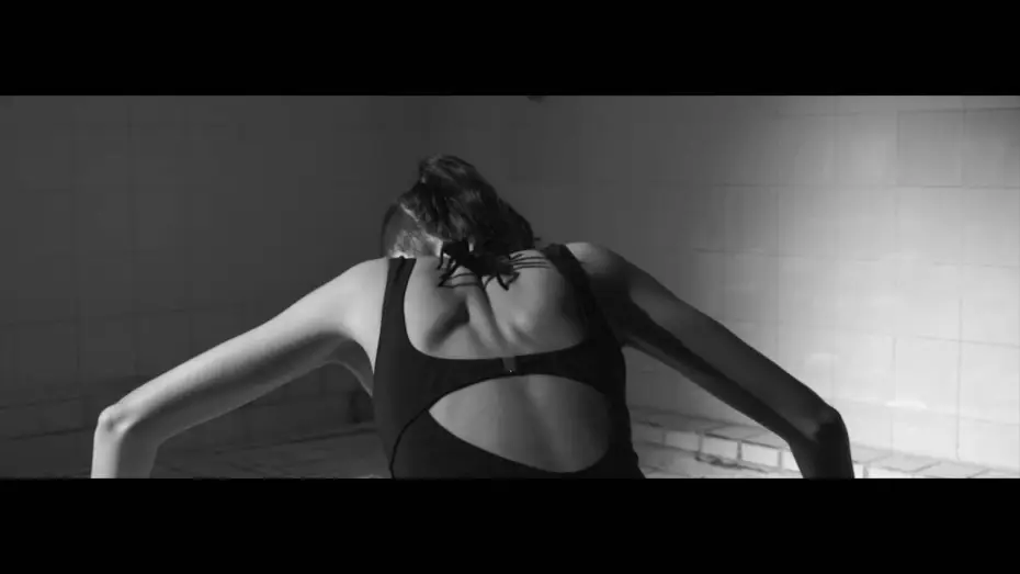 Watch film Arachnids — LAS ARÁCNIDAS - Tomás Espinoza