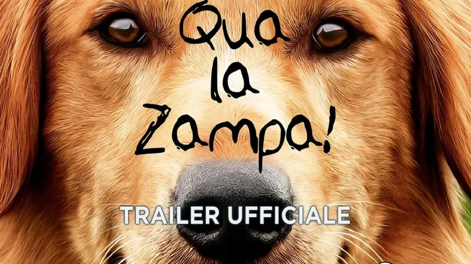 Watch film A Dog's Purpose | Qua la zampa! - Trailer italiano ufficiale [HD]