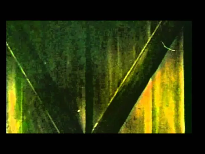 Watch film Day of the Animals — SOMETHING IS OUT THERE (1977) TV Spot