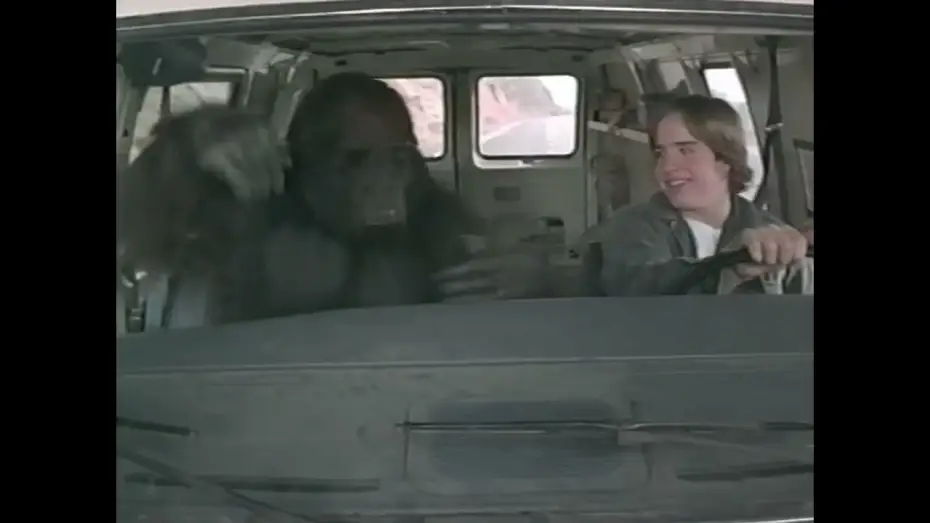 Watch film Born to Be Wild — Born to Be Wild (1995) Trailer from VHS