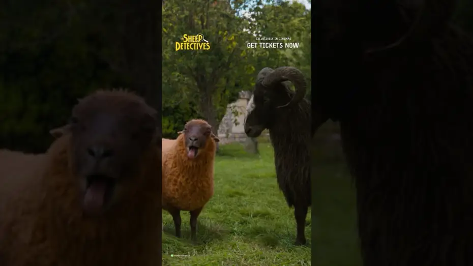 Watch film The Sheep Detectives | There They Are