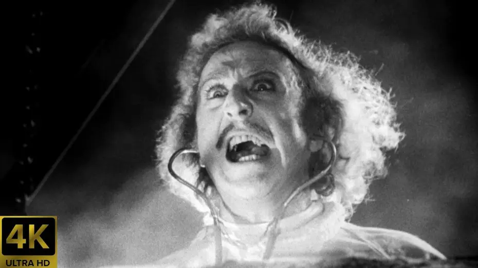 Watch film Young Frankenstein | Young Frankenstein (1974) Original Theatrical Trailer [4K] [FTD-0579]