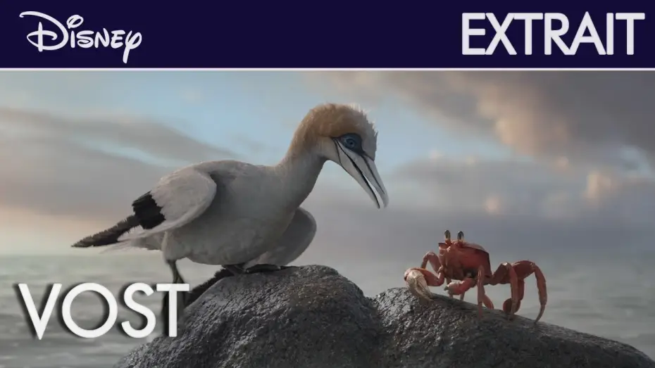 Watch film The Little Mermaid | La Petite Sir&egrave;ne - Extrait : &Eacute;coute-moi bien l'oiseau (VOST) | Disney