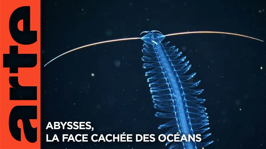 Watch film Deep sea exploration : the last frontiers on Earth | Abysses, la face cach&eacute;e des oc&eacute;ans - Extrait | Documentaire | ARTE