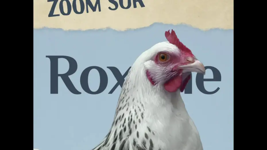 Watch film Roxane | Roxane - avec Guillaume de Tonqu&eacute;dec et L&eacute;a Drucker