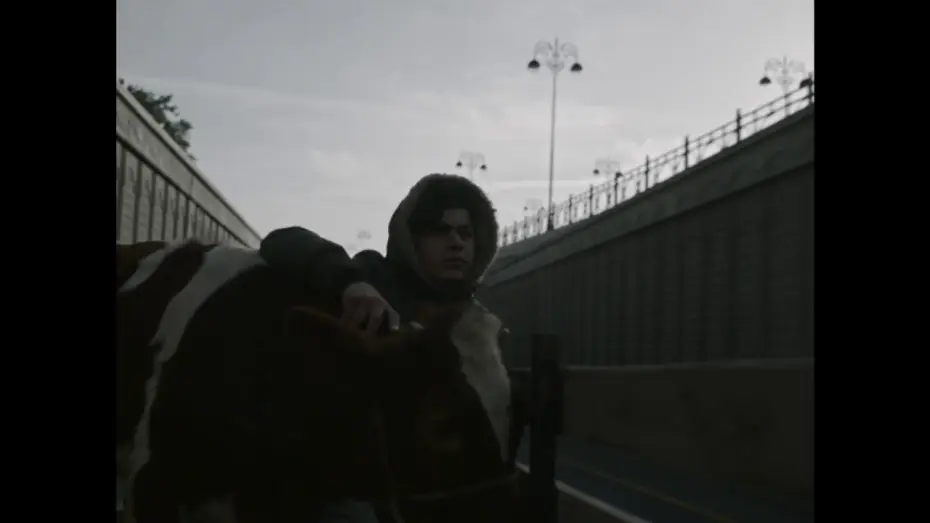 Watch film Salt, Pepper to Taste — Salt, Pepper to Taste - Trailer | IFFR 2019