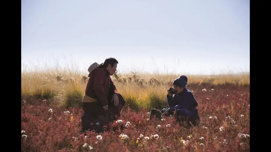 Watch film Veins of the World — LES RACINES DU MONDE | bande-annonce VOSTF