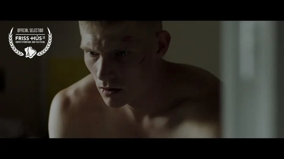 Watch film The Buzz — Szokásjog (2019) - Trailer