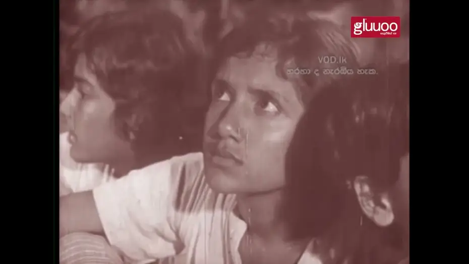 Watch film Mangrove Island — Madol Doova Sinhala Movie Madol Doova Trailer 1