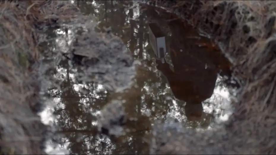 Watch film The Other One — VdR2020 | Carte Blanche | Francisco Bermejo | The Other One