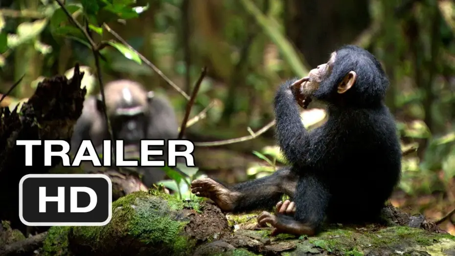 Watch film Chimpanzee — Chimpanzee Official Trailer #1 (2012) Disney Nature Movie HD
