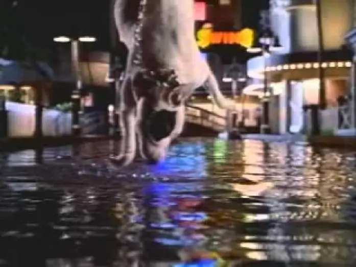 Watch film Babe: Pig in the City | Babe: Pig in the City Trailer (1998)