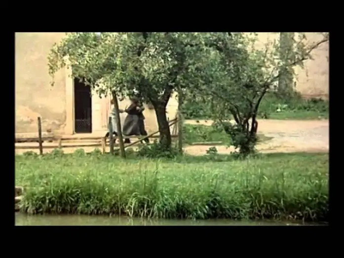 Watch film The Widow Couderc — La Veuve Couderc (1971)