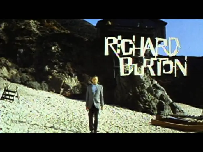 Watch film The Sandpiper — The Sandpiper - Trailer