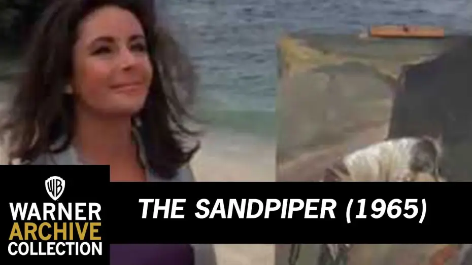 Watch film The Sandpiper — Open